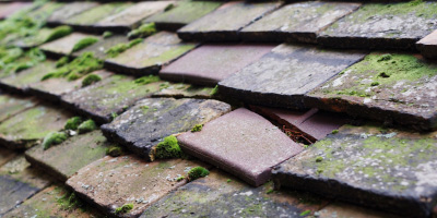 Belmont roof repair costs